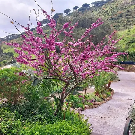 Villetta Dei Fichi D'India