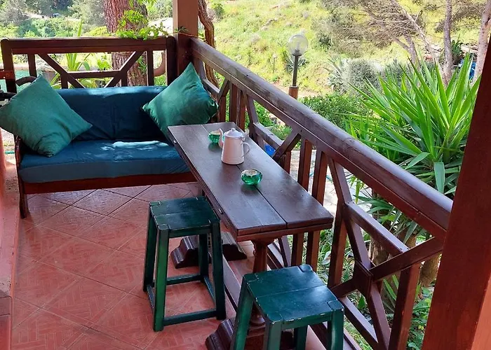 Dei Fichi D'india * Rio dellʼElba