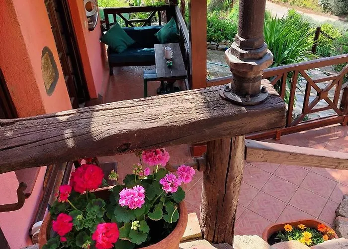 Dei Fichi D'india * Rio dellʼElba