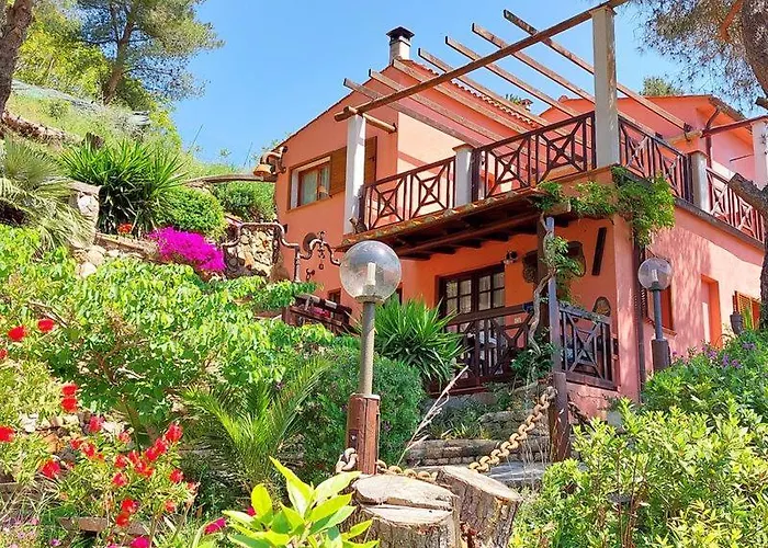 Dei Fichi D'india Rio dellʼElba